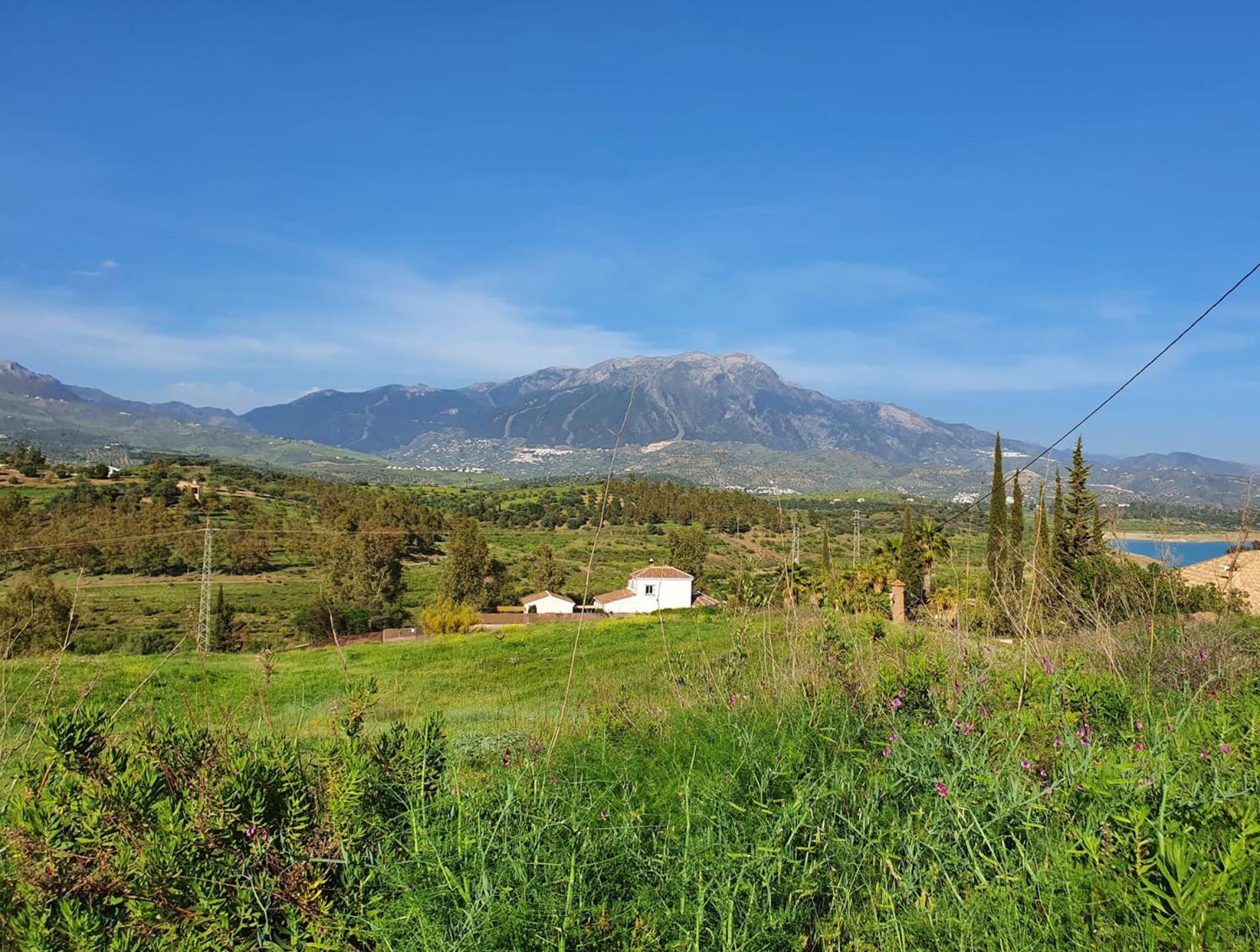 La Rustica En Vinuela, Piscina Privada Villa Buitenkant foto